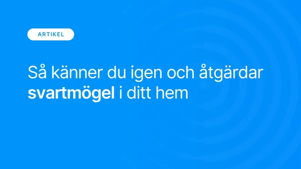 Sa kanner du igen och atgardar svartmogel i ditt hem