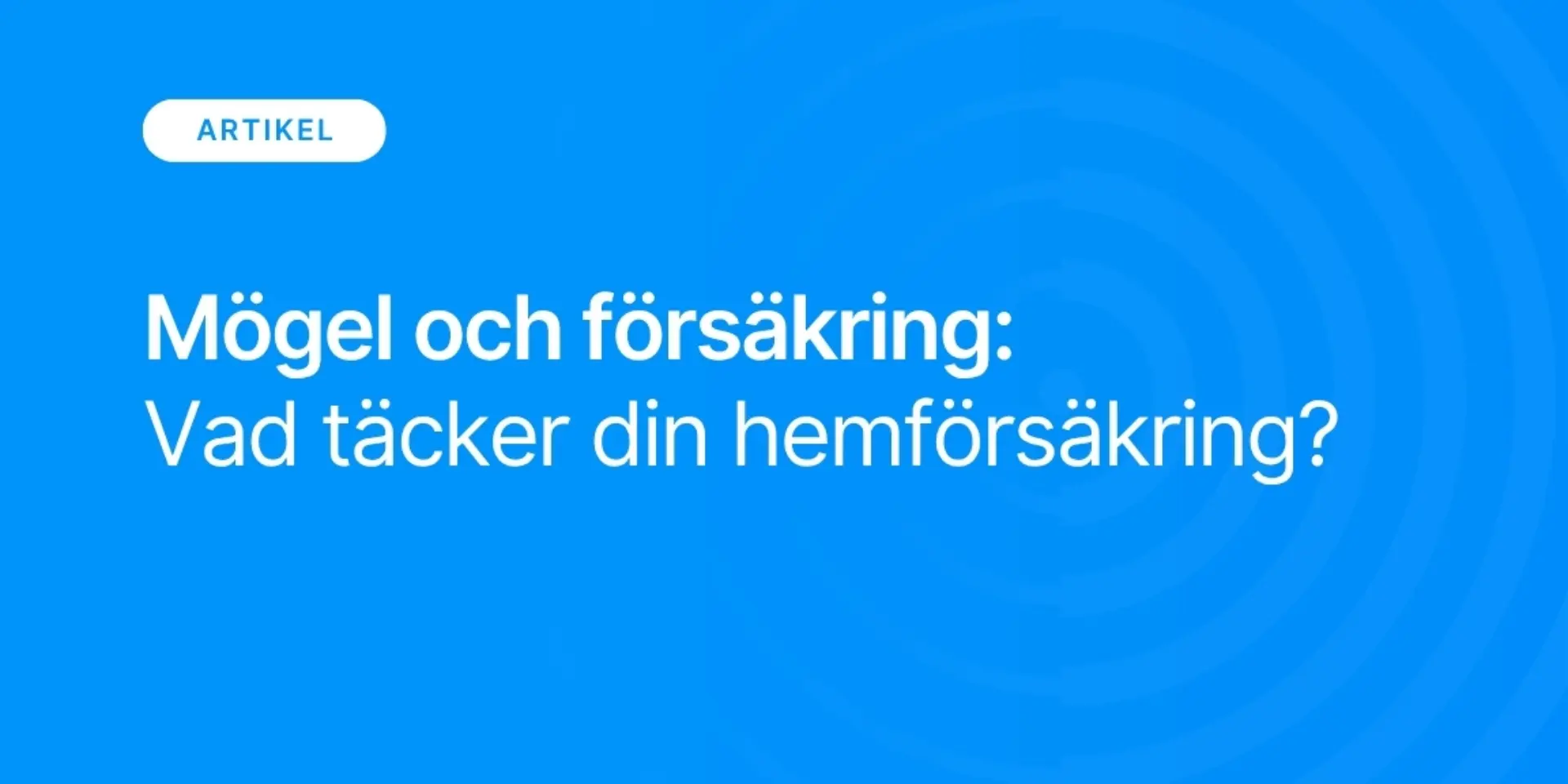 Mogel och forsakring