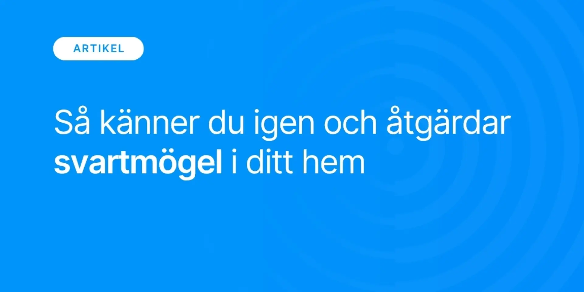 Sa kanner du igen och atgardar svartmogel i ditt hem