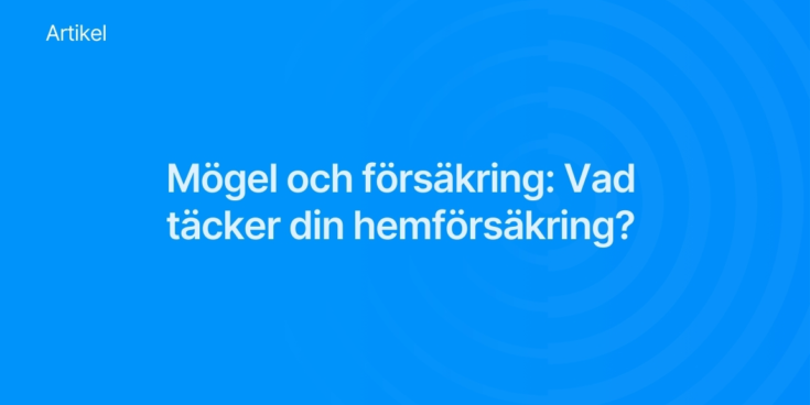 Mogel och forsakring Vad tacker din hemforsakring