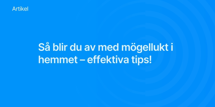 Sa blir du av med mogellukt i hemmet effektiva tips