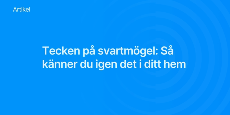 Tecken pa svartmogel Sa kanner du igen det i ditt hem