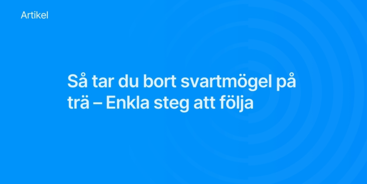 Sa tar du bort svartmogel pa tra Enkla steg att folja