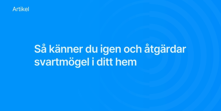 Sa kanner du igen och atgardar svartmogel i ditt hem