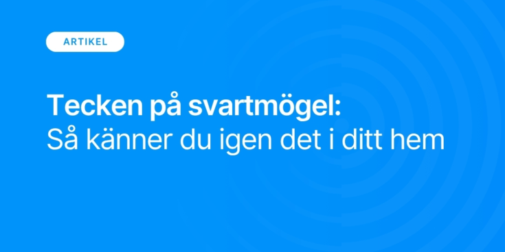 Tecken pa svartmogel