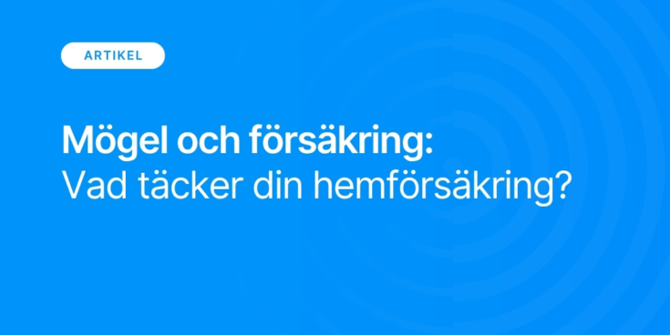 Mogel och forsakring