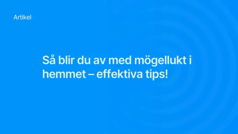 Sa blir du av med mogellukt i hemmet effektiva tips
