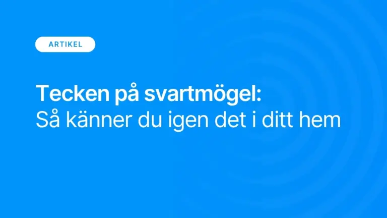 Tecken pa svartmogel