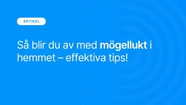 Sa blir du av med mogellukt i hemmet