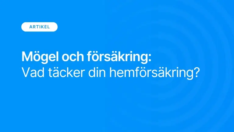 Mogel och forsakring