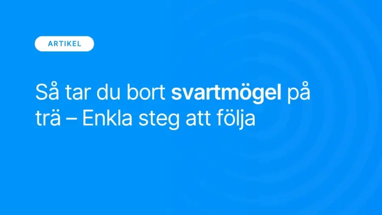Sa tar du bort svartmogel pa tra